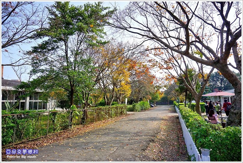 【台北】亞尼克夢想村‧陽明山新景點 美軍宿舍改建成聚餐出遊首選 1+2號店